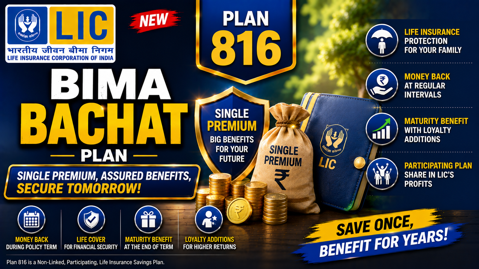 LIC New Bima Bachat Plan 816